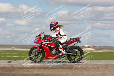 media/Feb-10-2024-TrackDaz (Sat) [[d83b097a69]]/C Group/1240pm (Wheelie Bump)/